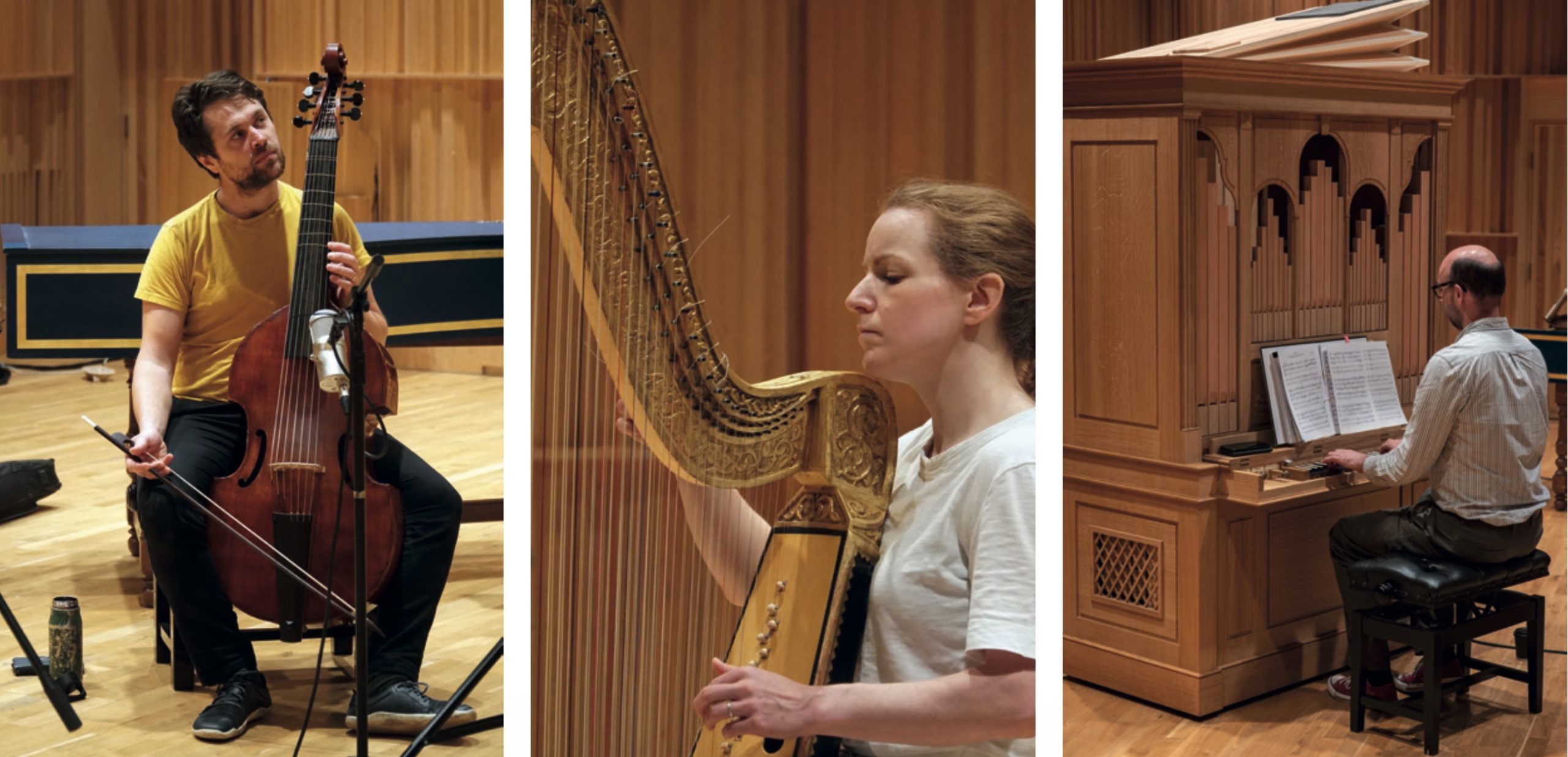 Detail images of viol player, harpist and organist, playing.